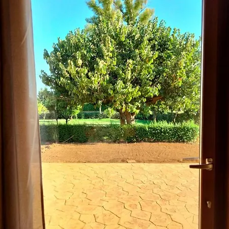 I Doni Del Mandorlo * アルゲーロ