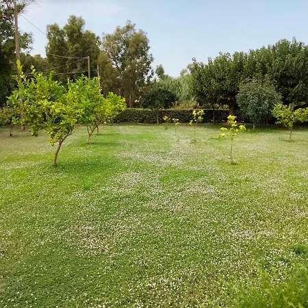 I Doni Del Mandorlo アルゲーロ