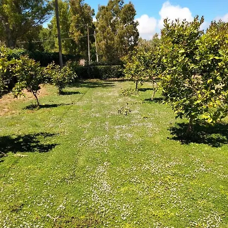 I Doni Del Mandorlo *