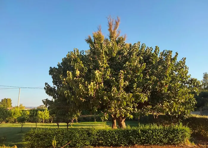 I Doni Del Mandorlo Gospodarstwo agroturystyczne *
