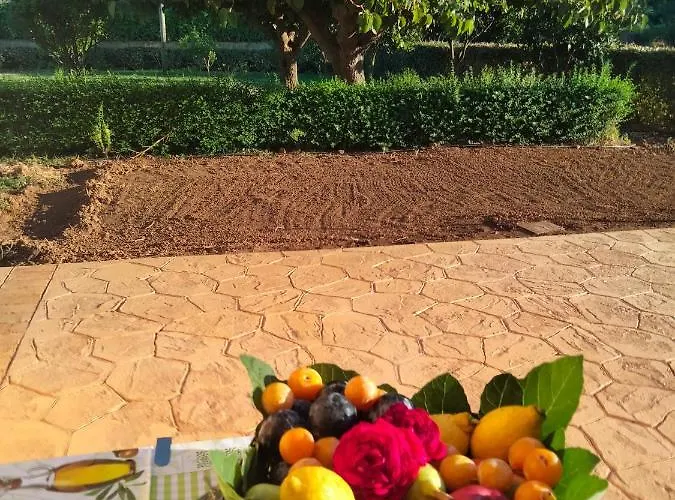 Gospodarstwo agroturystyczne I Doni Del Mandorlo *