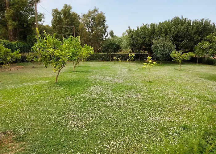 I Doni Del Mandorlo Alghero