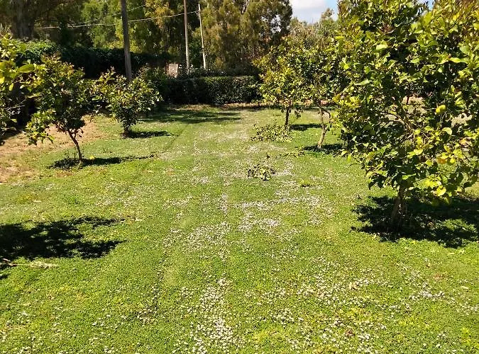 I Doni Del Mandorlo *